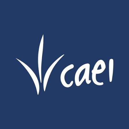 CAEI
